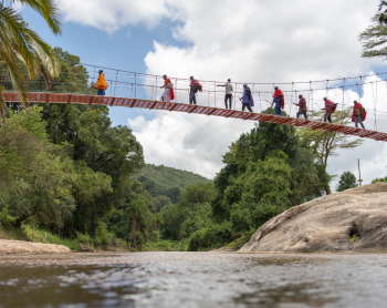 Bridge in community