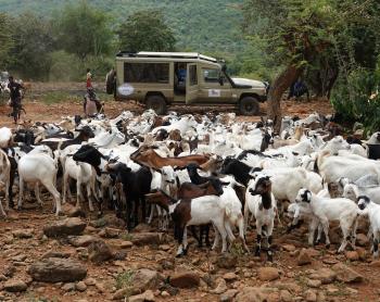 Photo by Hillim Gitonga