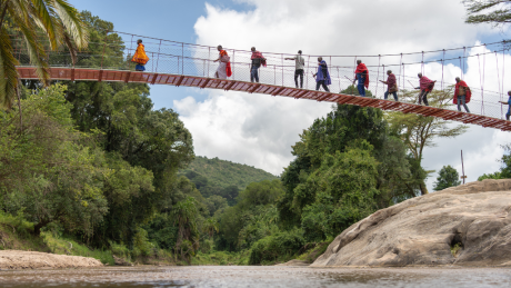 Bridge in community