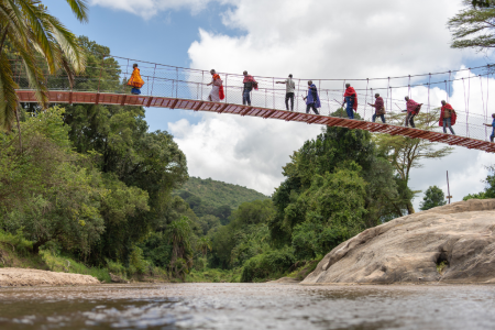Bridge in community
