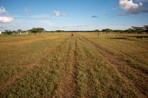 airstrip in LogLogo